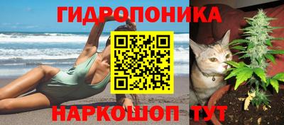 молекула духа Нягань