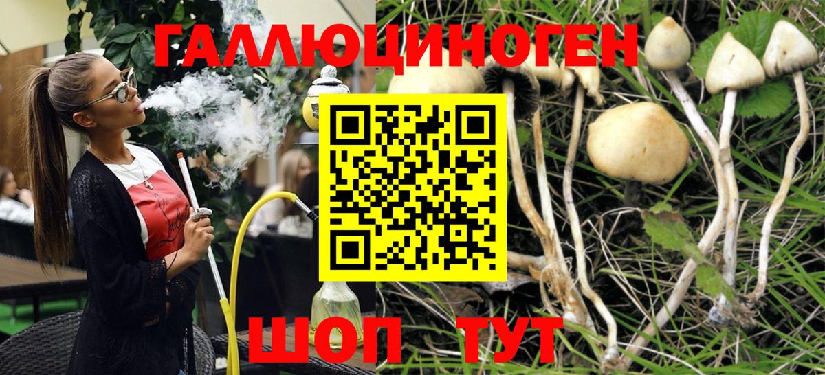 Галлюциногенные грибы Magic Shrooms  Вход с VPN  Советская Гавань 