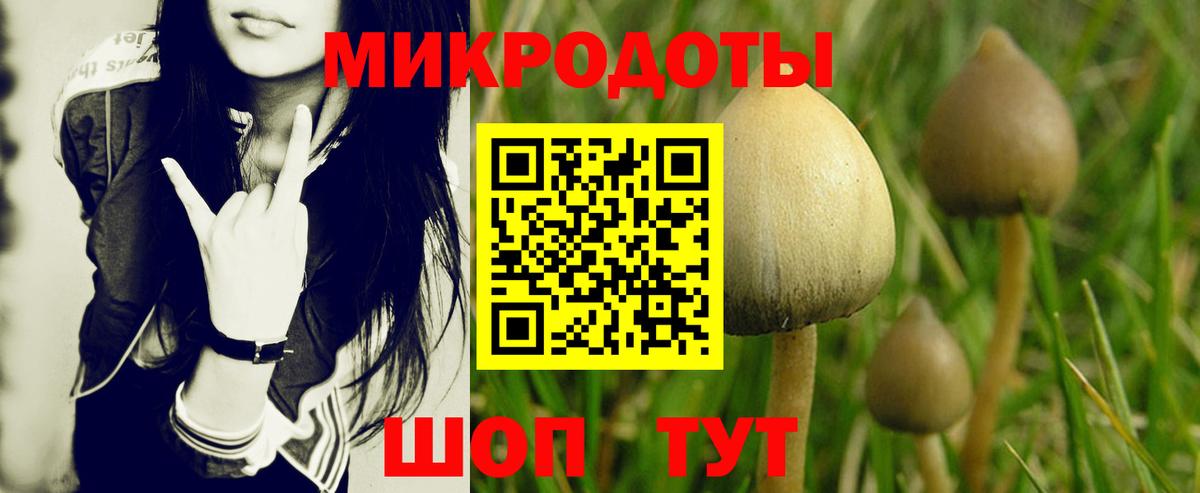 Псилоцибиновые грибы Cubensis Советская Гавань